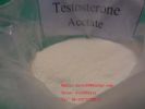 Testosterone Acetate Testosterone Ace 1045-69-8 SH-TS002